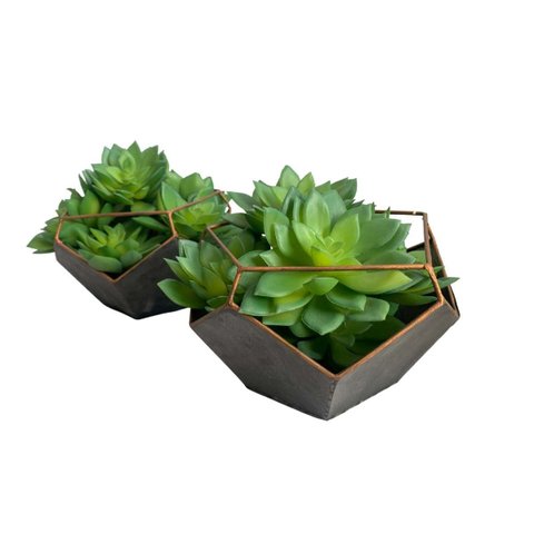 Suculentas Artificiais Echeveria Quantidade:3