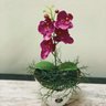 Flores Artificiais Kit com 06 Mini Galhos de Orquídeas para Decoração e Arranjo - 5