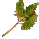 Ver imagem 1 de Suculentas Artificiais - Sedum Quantidade:10