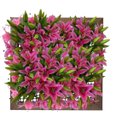 Ver mais imagens de Flores Artificiais Kit com 20 Galhos de Lirio Decora Flores Artificiais