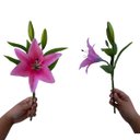 Ver imagem 6 de Flores Artificiais Kit com 20 Galhos de Lirio Decora Flores Artificiais