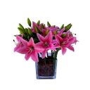 Ver imagem 7 de Flores Artificiais Kit com 12 Galhos de Lirio Decora Flores Artificiais