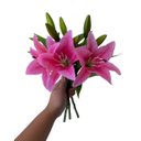 Ver imagem 1 de Flores Artificiais Kit com 8 Galhos de Lirio Decora Flores Artificiais - Decora Flores Artificiais