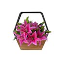 Ver mais imagens de Flores Artificiais Kit com 6 Galhos de Lirio Decora Flores Artificiais - Decora Flores Artificiais
