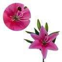 Ver imagem 4 de Flores Artificiais Kit com 6 Galhos de Lirio Decora Flores Artificiais - Decora Flores Artificiais