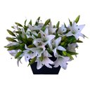 Ver imagem 1 de Flores Artificiais Kit com 20 Galhos de Lirio Decora Flores Artificiais