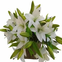 Flores Artificiais Kit com 20 Galhos de Lirio Decora Flores Artificiais - 2