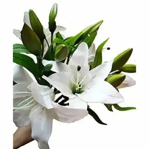 Flores Artificiais Kit com 12 Galhos de Lirio Decora Flores Artificiais