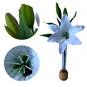 Ver imagem 3 de Flores Artificiais Kit com 8 Galhos de Lirio Decora Flores Artificiais - Decora Flores Artificiais