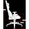 Cadeira Gamer Dt3 Sports - Modelo Elise Racing Series - Professional Gaming Chair - 13