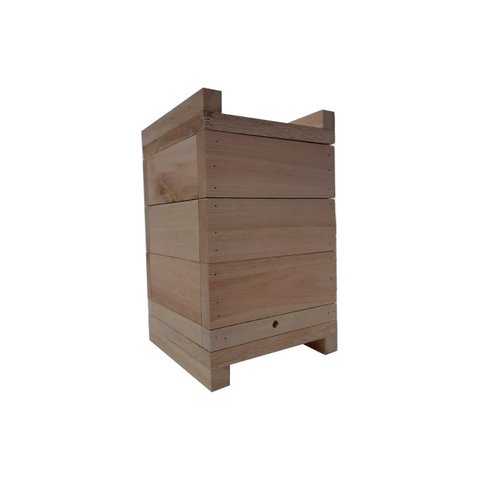 Caixa Impa Para Abelhas Sem Ferrão Eucalipto 20x20