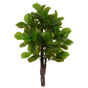 Ver imagem 1 de Planta Árvore Artificial Ficus Lyrata Real Toque X78 Verde 1,3m