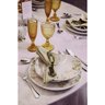 Aparelho de Jantar Porcelana Decorada 20 Peças Magnólia Tramontina 96589/034 - 2