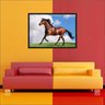 Quadro Animais Cavalo Pet Shop Moldura Salas Decorações TT04 - 3