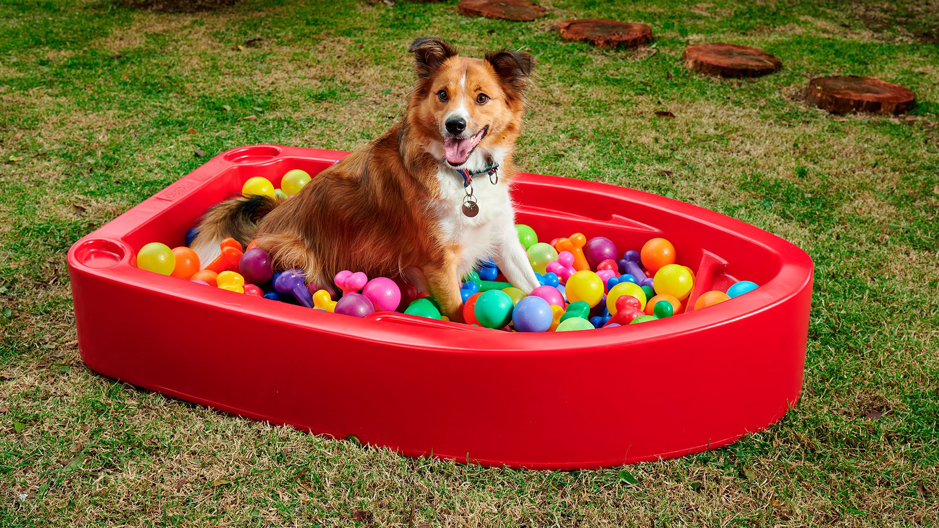 Piscina para Cachorro Barquinho Pet Vermelho Freso - 3