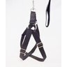 Kit Capa Pet para Bancos de Carros - Cinto e Peitoral - 3