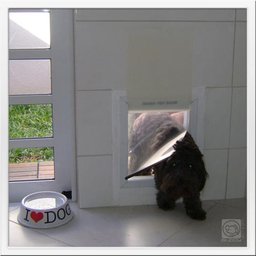 Porta Cães e Gatos Portinha Aluminio Buddy Toys - Grande - 2