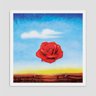 Quadro Rosa Meditativa Salvador Dali Vinil Moldura Branca 30X30Cm - 1
