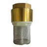 Válvula Fundo De Poço Com Tela Inox 1 Pol - Emmeti - 1