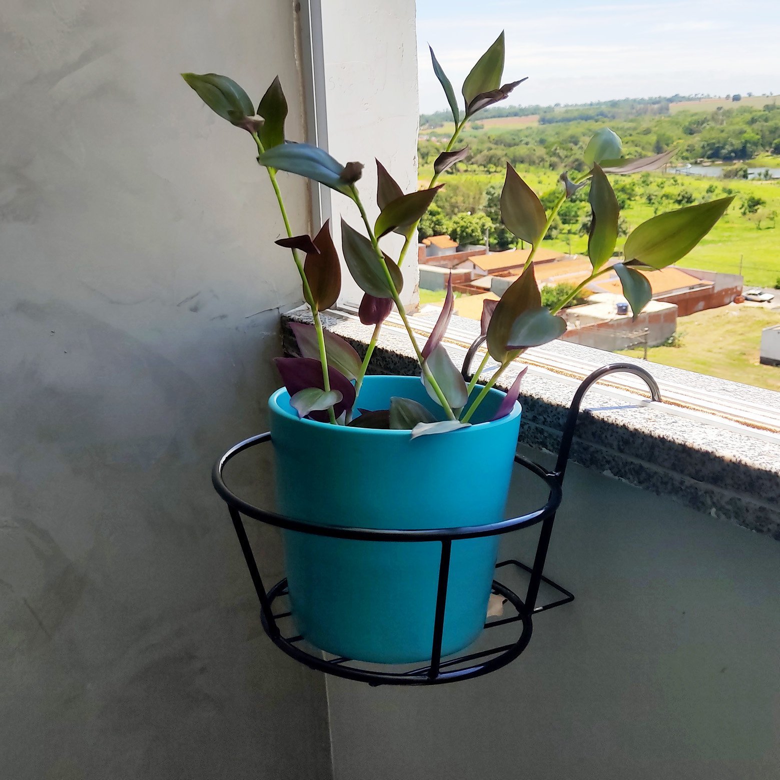 Suporte para Vasos De Plantas e Flores Suspenso de Ferro - 6