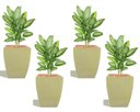 Ver imagem 1 de Kit 4 Vaso Planta 45x35 Moderno Trapézio Polietileno BGPLASTICOS MARROM CHOCOLATE 020