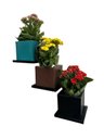 Ver imagem 1 de Kit 3 Vasos com Suporte Parede Escada para Plantar e Decorar Bgplasticos V1013 Areia 001