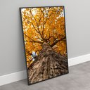 Ver imagem 5 de Quadro Decorativo Árvore de Baixo de Ipê Amarelo Sala Quarto Casa Escritório