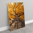 Ver imagem 7 de Quadro Decorativo Árvore de Baixo de Ipê Amarelo Sala Quarto Casa Escritório