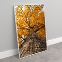Ver imagem 3 de Quadro Decorativo Árvore de Baixo de Ipê Amarelo Sala Quarto Casa Escritório
