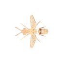 Ver imagem 2 de Quebra Cabeça 3D Abelha Européia 33 Peças em MDF - Dinobrinque