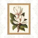 Ver imagem 1 de Quadro Moldura Dourada Flores Magnólia 45x34cm:com Vidro