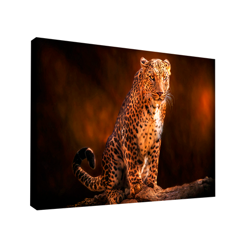 Quadro Leopardo -- BR ARTES Médio 84x54