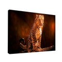 Ver imagem 1 de Quadro Leopardo -- BR ARTES Médio 84x54