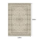 Ver imagem 5 de Tapete Belga Harmony Trendy 9866 Bege 2.00x3.00m
