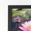 Ver imagem 2 de Quadro Lírio da Água Rosa Flor Moldura Preta 60x40cm