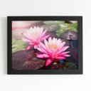 Ver imagem 1 de Quadro Lírio da Água Rosa Flor Moldura Preta 60x40cm