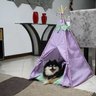 Cabana Cachorro Gato Camping Pet Pet - Lilás Poá - Tamanho Único - Amour Pet - 3