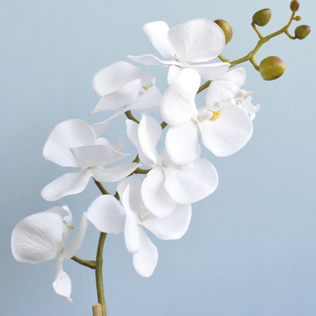 Arranjo de Orquídea Artificial Branca no Vaso Rose Gold Pequeno |linha Permanente Formosinha - 4