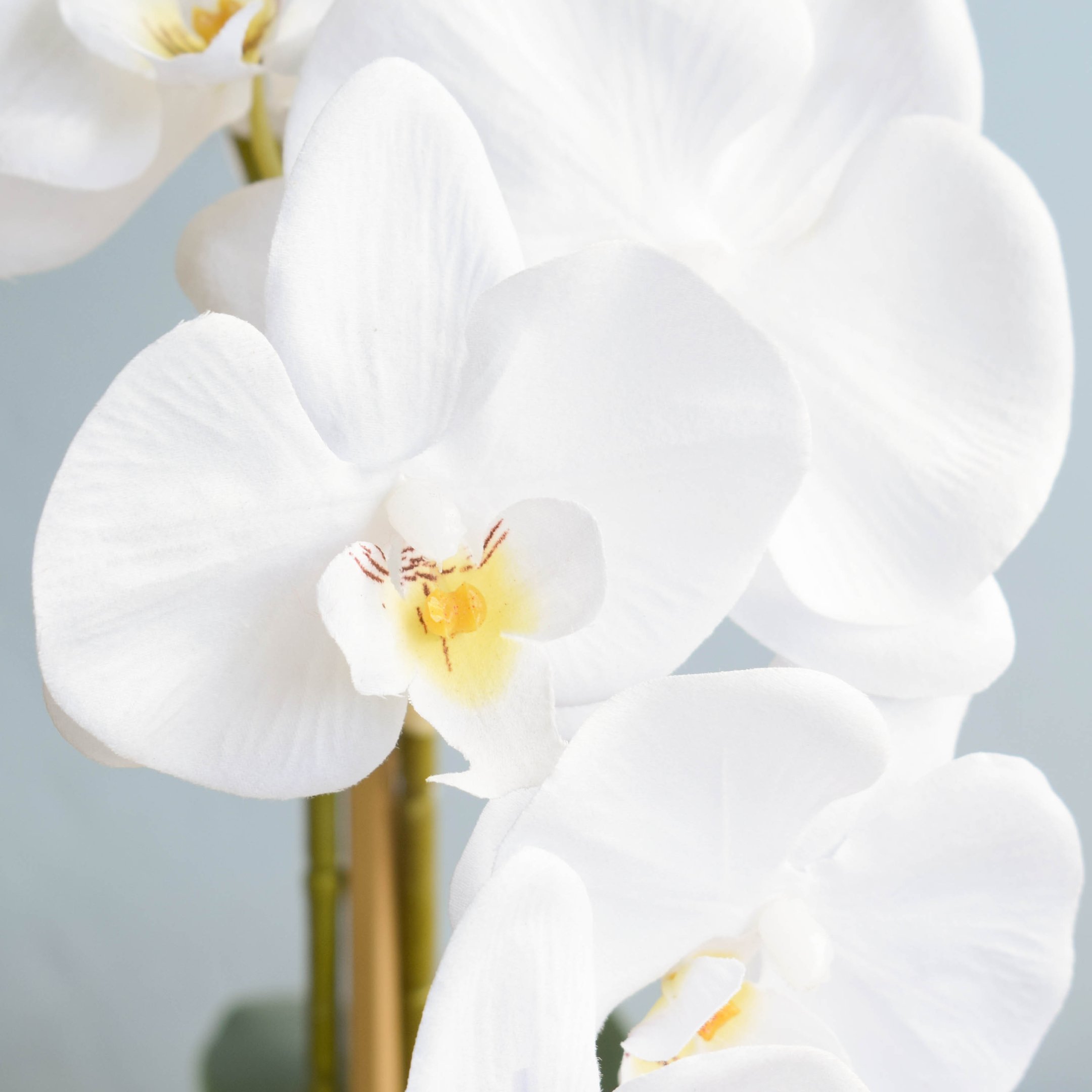 Flores artificiais Arranjo de Orquídeas Brancas Artificial no Vaso Terrário Rose Gold|Linha - 4