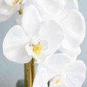 Ver imagem 4 de Flores artificiais Arranjo de Orquídeas Brancas Artificial no Vaso Terrário Rose Gold|Linha