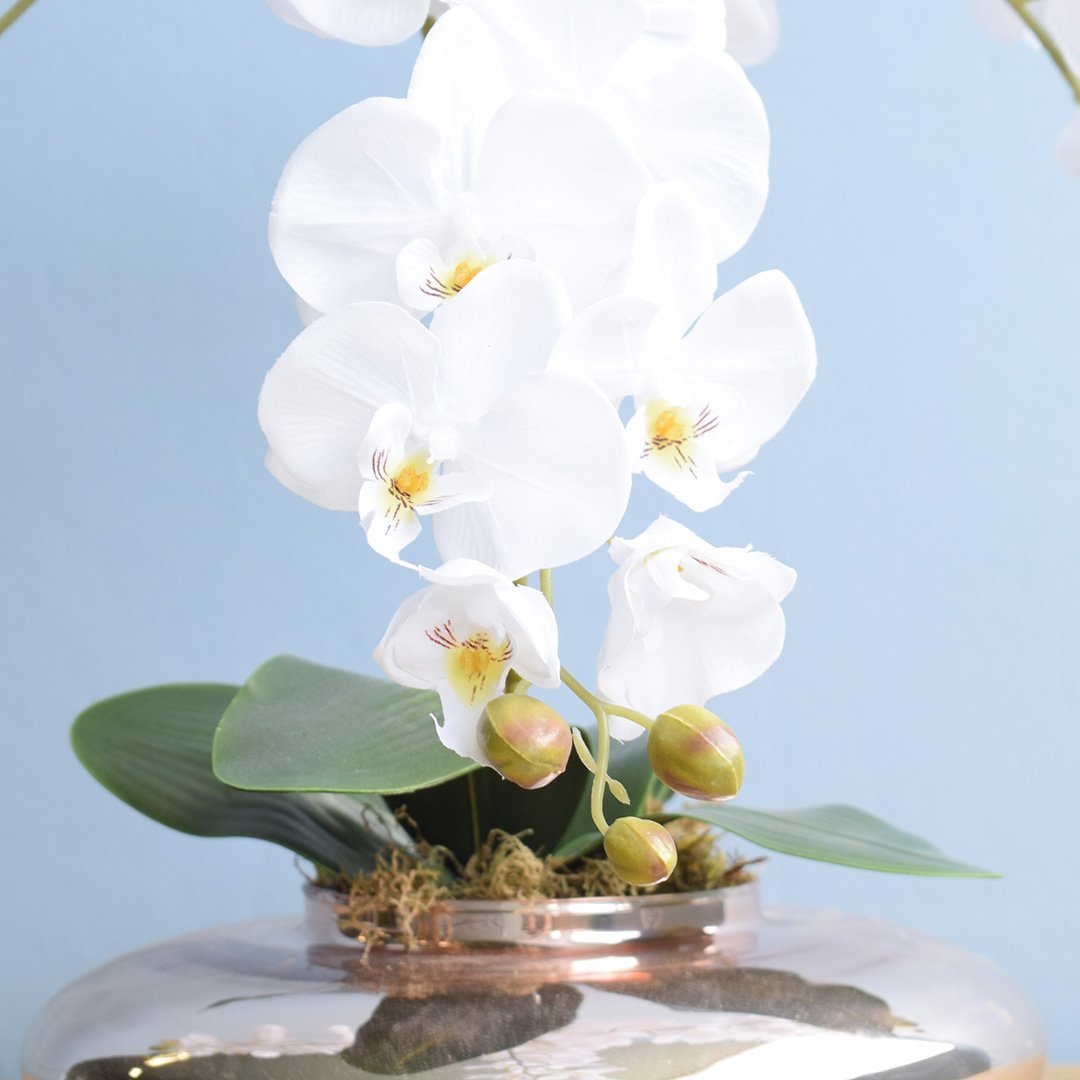 Flores artificiais Arranjo de Orquídeas Brancas Artificial no Vaso Terrário Rose Gold|Linha - 1