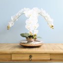 Ver imagem 2 de Flores artificiais Arranjo de Orquídeas Brancas Artificial no Vaso Terrário Rose Gold|Linha
