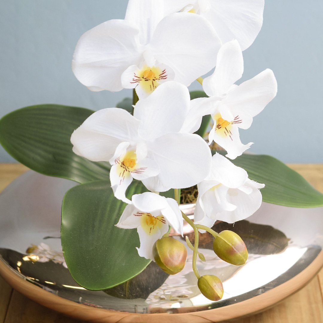 Flores artificiais Arranjo de Orquídeas Brancas Artificial no Vaso Terrário Rose Gold|Linha - 3
