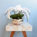 Ver imagem 4 de Flores Artificiais Arranjo de Orquídeas Brancas no Vaso Rose Gold|Linha Permanente Formosinha
