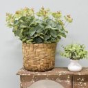 Ver imagem 2 de Flores artificiais Arranjo de Eucalipto Artificial no Cesto de Fibra|Linha permanente Formosinha