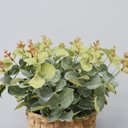 Ver imagem 3 de Flores artificiais Arranjo de Eucalipto Artificial no Cesto de Fibra|Linha permanente Formosinha