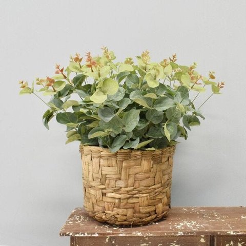 Flores artificiais Arranjo de Eucalipto Artificial no Cesto de Fibra|Linha permanente Formosinha