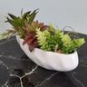 Flores artificiais Arranjo de Suculentas no Vaso Barca de Cerâmica|Linha permanente Formosinha - 2