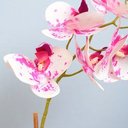 Ver imagem 2 de Arranjo de Orquídea Tigre Realista no Vaso de Vidro Dourado | Formosinha