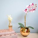 Ver imagem 3 de Arranjo de Orquídea Tigre Realista no Vaso de Vidro Dourado | Formosinha